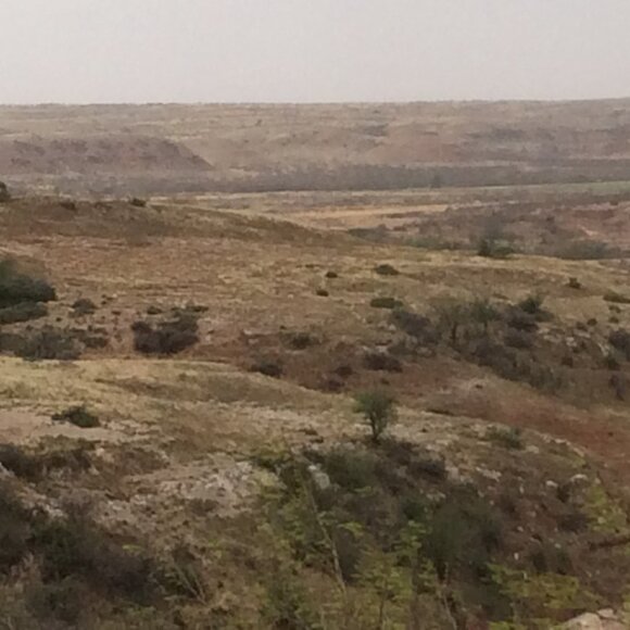 Meet your Posher, William - Picture 11 of 16